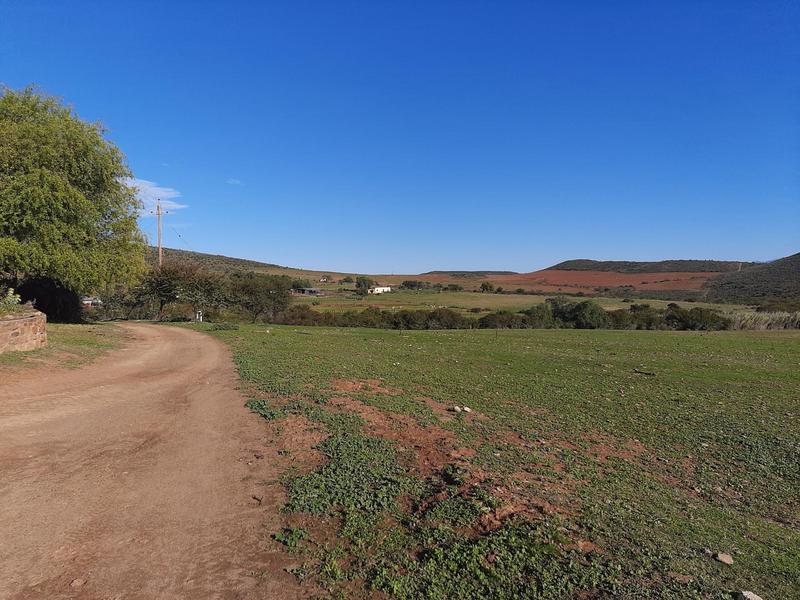 0 Bedroom Property for Sale in Oudtshoorn Rural Western Cape